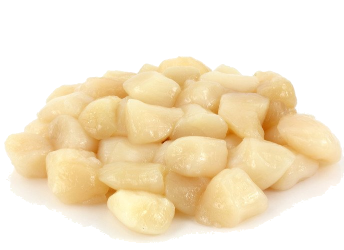 Frozen Scallop Meat